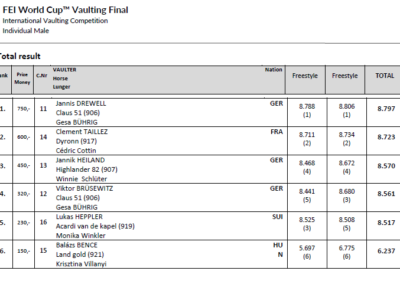 fei wc final 2018 individual male