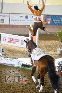 volteggio equestre cvi portogruaro 2018 1*