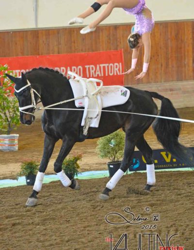 cvi 2018 eqquipolis tiziana portogruaro FKS_3175copiaweb