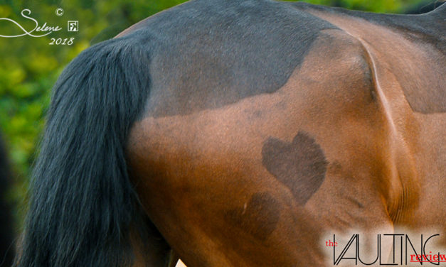 22 Aprile, a Pontedera è ancora volteggio equestre