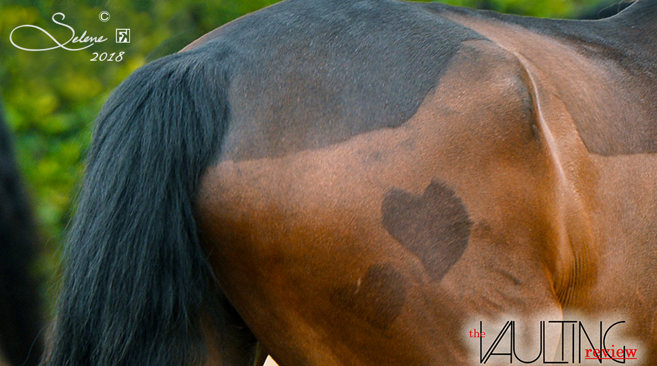 22 Aprile, a Pontedera è ancora volteggio equestre