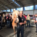 DE PLANO FARRIERS UNITED SHOW 2018 - 3