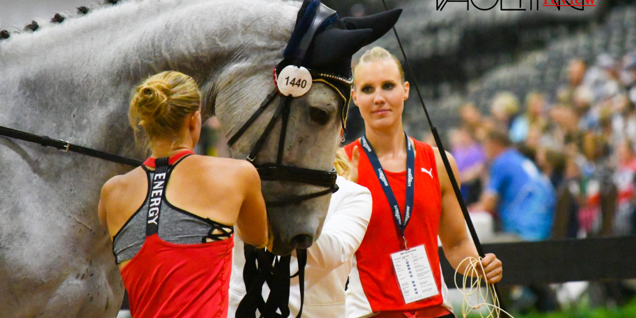 Volteggio equestre ai WEG di TRYON 2018. DAY 1