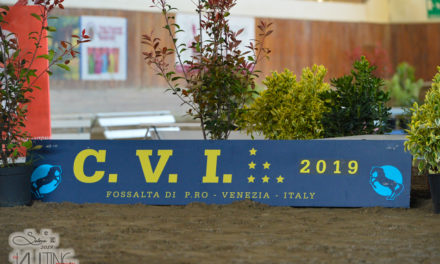 Appuntamento con il grande volteggio internazionale al CVI d’Italia 2019