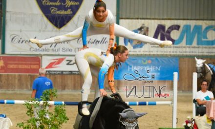 Il volteggio equestre veneto in gara a Treviso